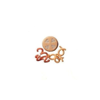 Simac trafila bucati rigati n. 11 Pastamatic PM1400 N1 Magnum Family Junior MX700